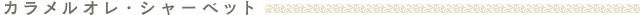 �J�������I���V���[�x�b�g